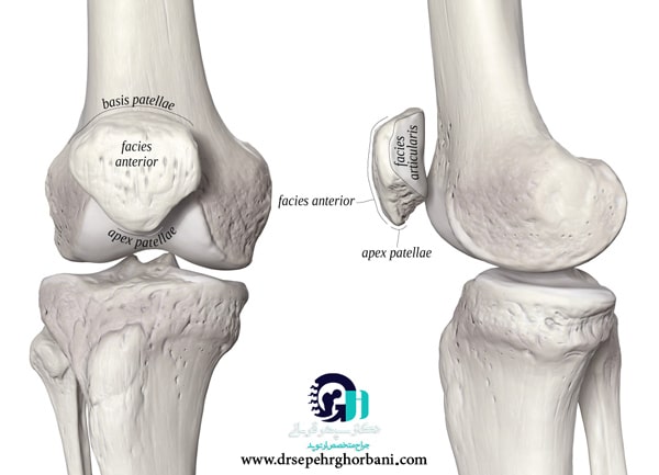 تشخیص شکستگی کشکک زانو یا پاتلا (patella)